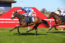 Race 1 - Taygar (5)