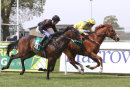 Race 1 - The Names Paver (5)