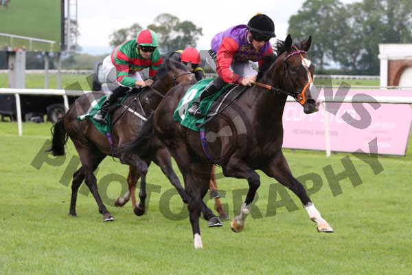 Race 1 - Topical (10)