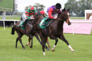 Race 1 - Topical (10)