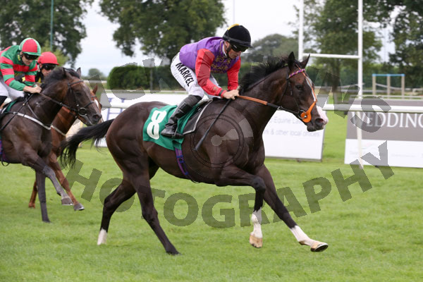 Race 1 - Topical (13)