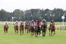 Race 1 - Topical (5)