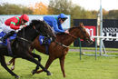 Race 1 - Tremor (12)