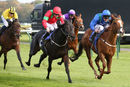 Race 1 - Tremor (6)