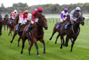 Race 1 - True Hero (11)