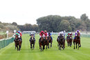Race 1 - True Hero (3)