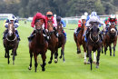 Race 1 - True Hero (5)