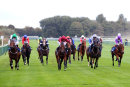 Race 1 - True Hero (7)
