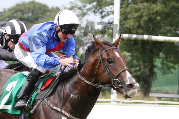 Race 1 - Trumps Up (6)