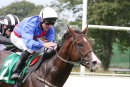Race 1 - Trumps Up (6)