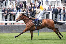 Race 1 - Unspoken (13)