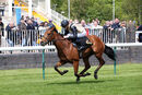 Race 1 - Unspoken (7)