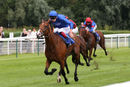 Race 1 - Visible Charm (6)