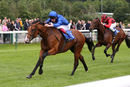 Race 1 - Visible Charm (9)
