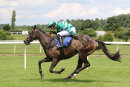Race 1 - Western Miller (11)