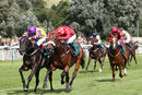 Race 1 - What A Business (2)