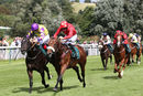 Race 1 - What A Business (3)