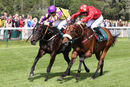 Race 1 - What A Business (5)