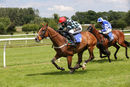 Race 1 - Whiskey And Water (10)