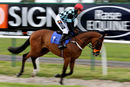 Race 1 - Whiskey And Water (2)