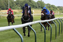 Race 1 - Wings Of War (8)