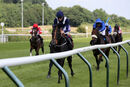 Race 1 - Wings Of War (9)