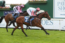 Race 1 - Zealandia (5)