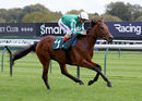 Race 1 - Zegalo (5)