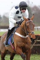 Race 1 (10) - Lisheen Castle