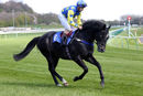 Race 1 (12) - Lethal Look