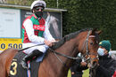 Race 1 (1) - Daddy Frank