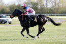 Race 1 (1) - Groom