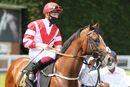 Race 1 (1) - King Of War