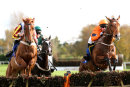 Race 1 (1) - Precious Rock