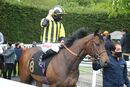 Race 1 (1) - Turna