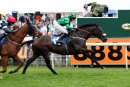Tapis Libre - Race 1 (20)