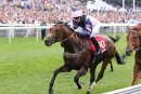 Mondialiste - Race 1 (17)