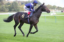 Race 1 (2) - Imperial Sun