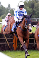 Race 1 (2) - Likeamonkey