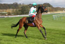 Race 1 (2) - Schabang