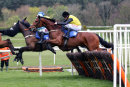 Kings Temptation - Race 1 (19)
