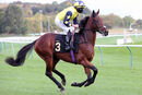 Race 1 (3) - Encounter Order