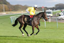Race 1 (3) - Mrs Fitzherbert