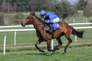 Dreamcatching - Race 1 (43)