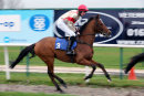 Race 1 (4) - Al Kherb