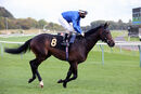 Race 1 (4) - Patrolman