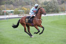 Race 1 (4) - Without Revenge