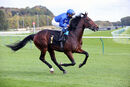 Race 1 (5) - Adayar