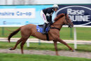 Race 1 (5) - King D Argent