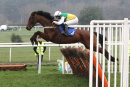 Just Minded - Race 1 (5)